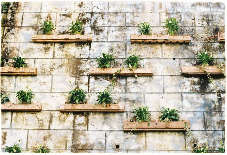 Metal wall trellis