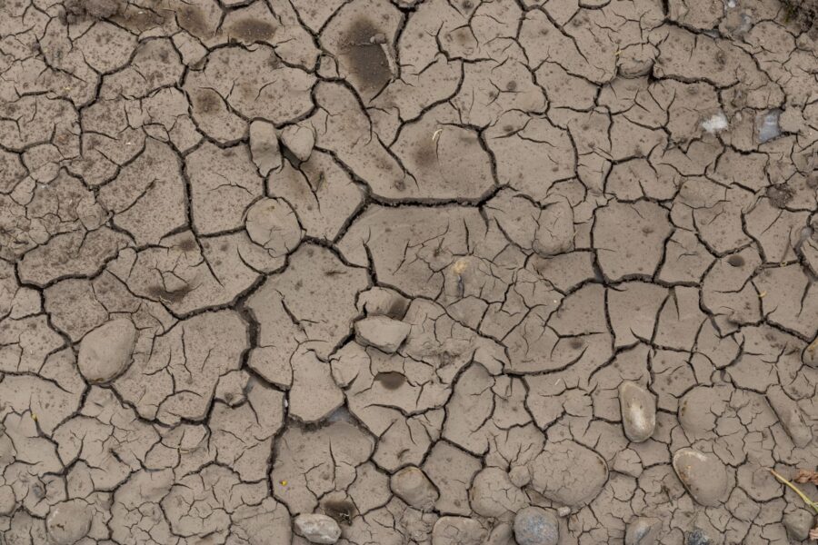 Dry soil cracked