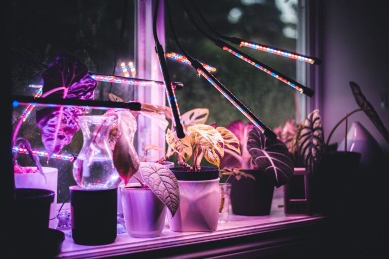 Led grow light