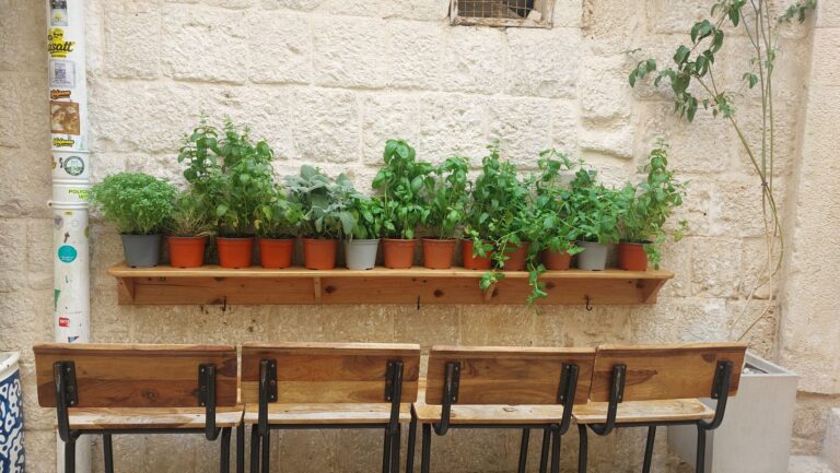 Herb wall planter