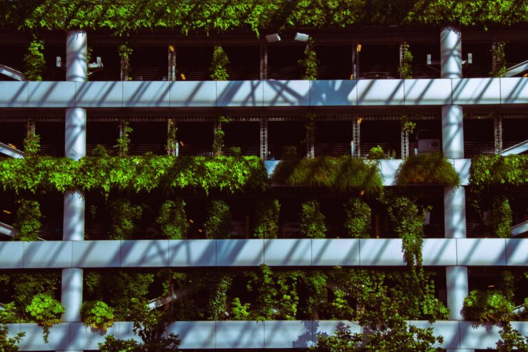 Vertical vegetable garden