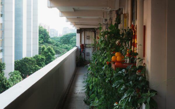 Vertical vegetable gardening for balconies and tight spaces