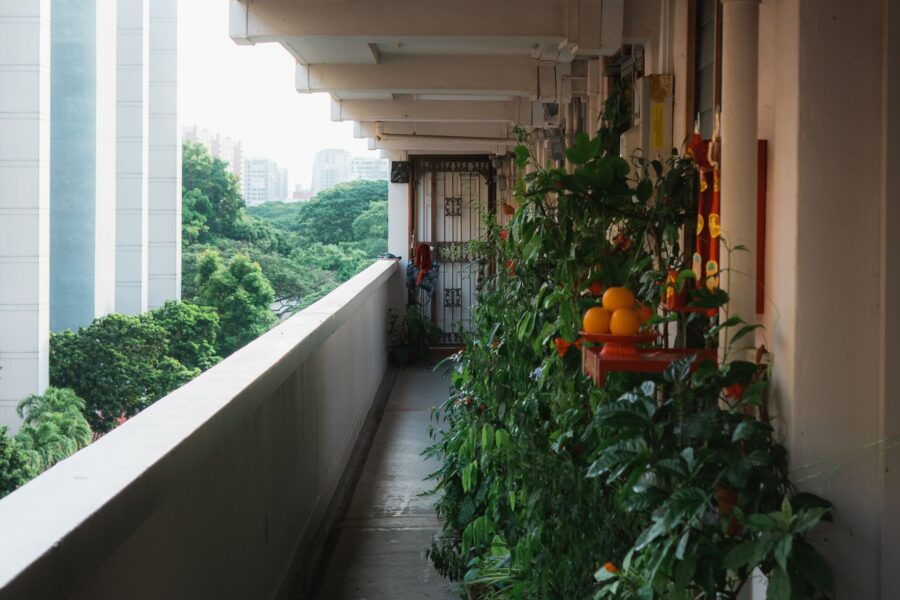 Vertical vegetable garden