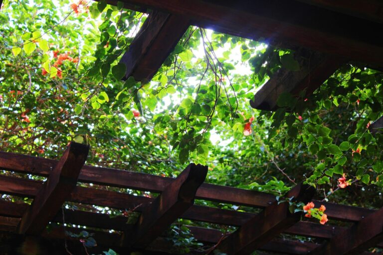 Garden pergola covered