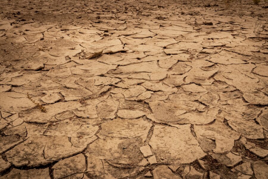 Waterlogged garden soil