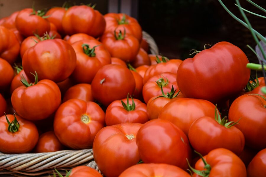 Ripe red tomatoes