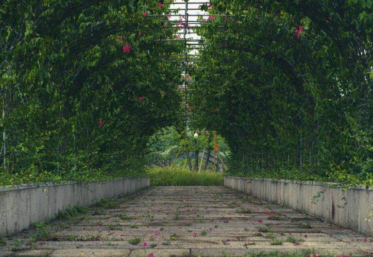 Wooden garden path