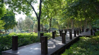 Wooden garden paths that add warmth, character and easy access through your plot