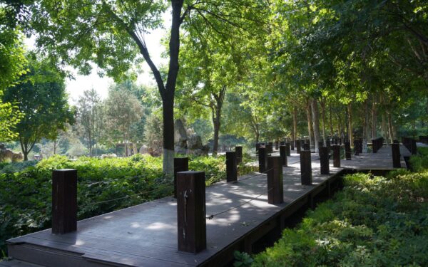Wooden garden paths that add warmth, character and easy access through your plot