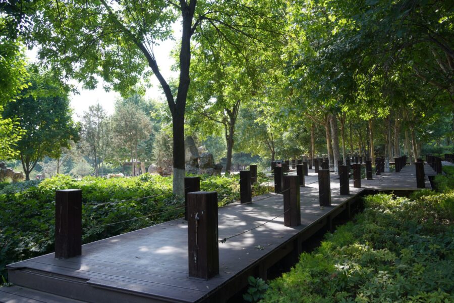 Wooden garden path