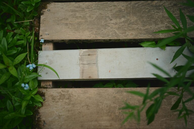 Wooden decking walkway
